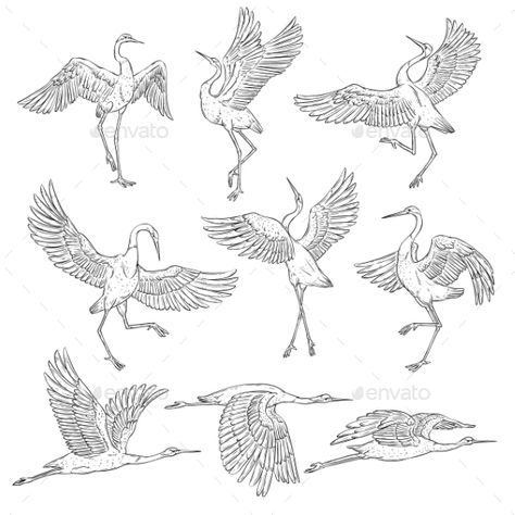 Set of Black and White Japanese Cranes ... Cranes Japanese Art, Tough Female Tattoos, Crane Illustration Japanese, Japanese Bird Drawing, Japanese Animals Art, Crane Art Paintings, White Crane Bird, Japanese Crane Illustration, Crane Japanese Art