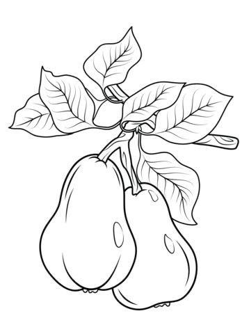 Pear Coloring Page, Fruit Coloring Pages, Fruits Drawing, Pola Sulam, Printable Crafts, Fruit Art, Art Drawings For Kids, Free Printable Coloring, Animal Coloring Pages