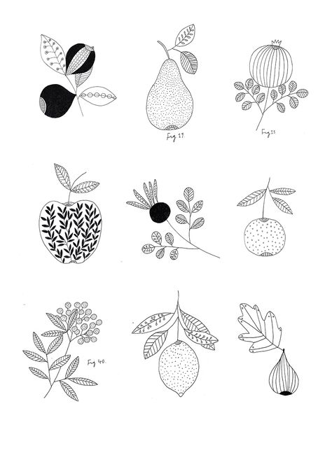 Botanical fruit print. By Ryn Frank www.rynfrank.co.uk Ryn Frank, Fruits Drawing, Fruit Illustration, Bullet Journal Doodles, Fruit Print, Botanical Drawings, Plant Illustration, Food Illustrations, Botanical Illustration