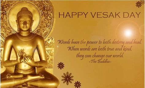 Wishing all the Buddhist out there an advance Happy Vesak Day. May this Vesak Day bring you peace and happiness!! #sgpad #ipadrental by sgpad Happy Wesak Day, Happy Vesak Day, Wesak Day, Happy Vesak, Buddhism Beliefs, Quotes Buddha, Vesak Day, Buddha Jayanti, Buddha Birthday