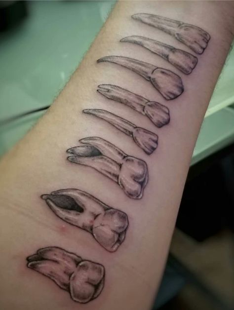 Molar Tattoo, Dog Tooth Tattoo, Dog Teeth Tattoo, Dentist Tattoo, Dental Tattoo, Teeth Tattoo, Tooth Tattoo, Tattoo Line, Dental Technician