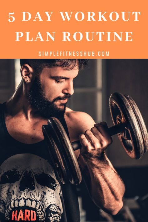 5 Day Gym Routine, 5 Days Gym Workout Plan, 30 Day Muscle Gain Workout Routines, 90 Day Workout Plan Men, 5 Day Full Body Workout Plan, 5 Day Workout Splits For Men, Home Workout Plan For Men Muscle Gain, 8 Week Workout Plan Gym, Leg Day Arm Day Ab Day Schedule