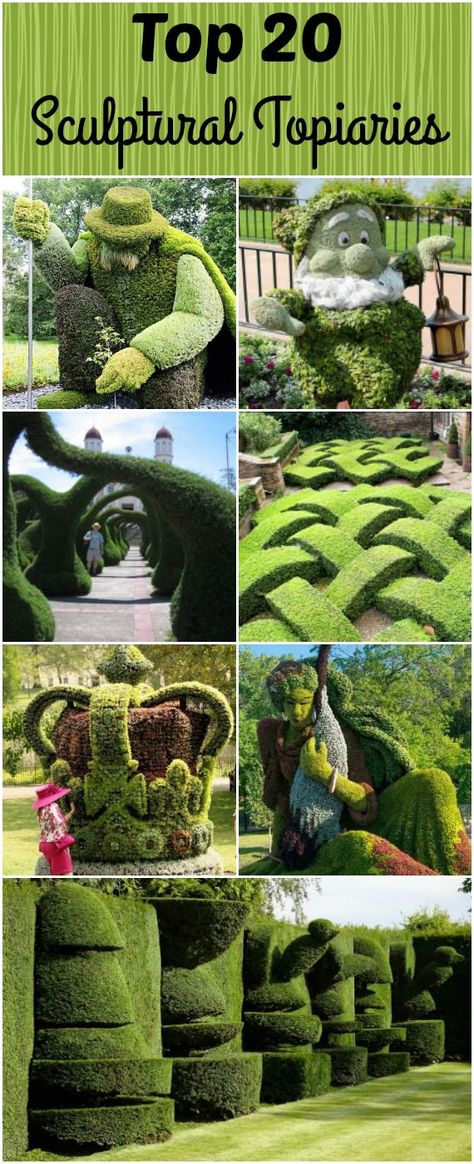 Topiaries Garden, Boxwood Landscaping, Plant Greenhouse, Urban Gardening Ideas, Outdoor Topiary, Topiary Diy, Planters Diy, Gutter Garden, Beautiful Home Gardens