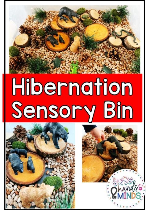 Hibernation Sensory Bin, Hibernation Sensory, Hibernation Preschool Theme, Hibernation Preschool Crafts, Bear Theme Preschool, Themed Sensory Bins, Hibernation Preschool Activities, Hibernation Crafts, Hibernation Preschool