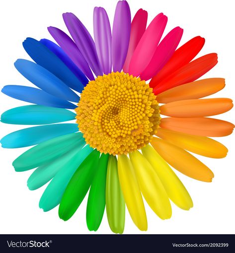 Daisy Vector, Color Wheel Art, Rainbow Images, Chamomile Flower, Flowers Background, Bloom Blossom, Chamomile Flowers, Unique Flowers, Color Activities