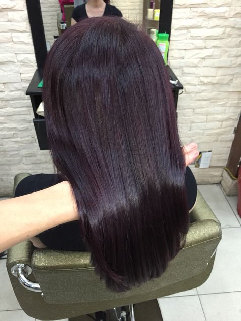 Burgandy Hair Layered, Eggplant Balayage, Eggplant Hair Color Dark, Midnight Violet Black Hair, Black Violet Hair, Black Burgundy Hair, Eggplant Hair Color, Plum Black Hair, Violet Black Hair