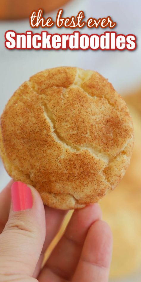 Soft Snickerdoodle Cookies, Best Snickerdoodle Cookies, Snickerdoodle Cookies Easy, Snickerdoodle Recipe, Mini Doughnuts, Snickerdoodle Cookies, Cookies Easy, Snickerdoodle Cookie Recipes, Drop Cookies