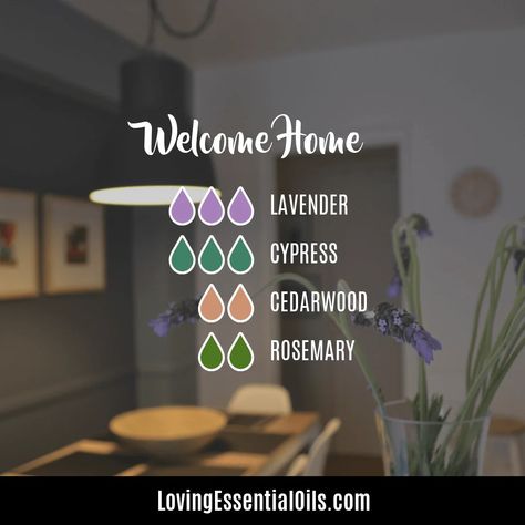 Lavender and Rosemary Essential Oil Blend Recipes for Uplifting Essential Oil Diffuser Blends Recipes, Essential Oil Diffuser Recipes, Essential Oils Gifts, Oil Diffuser Recipes, Yl Essential Oils, Essential Oil Mixes, Essential Oil Blends Recipes, Patchouli Essential Oil, Diffuser Blend