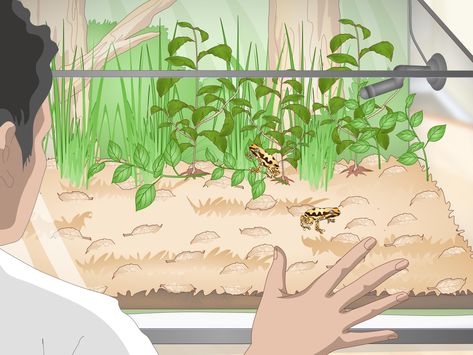 How to Build a Vivarium (with Pictures) - wikiHow Herb Garden For Beginners, Bat House Diy, How To Attract Bats, Jar Herb Garden, Bat House Plans, Level Garden, Bat Boxes, Mason Jar Herbs, 2 Liter Bottle