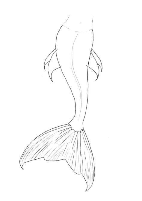 Mermaid Sketch Easy, How To Draw A Siren, Easy Drawings Mermaid, How To Draw A Mermaid Step By Step Easy, Drawing Ideas Mermaid, How To Draw Mermaid Tail, Mermaid Tail Drawing Easy, Mermaid Tail Drawing Reference, Easy Drawings Color