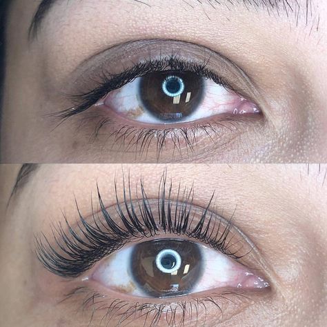 What a difference a Lash Lift can make! 😍 Incredible results! Lash Lift Before And After, Lash Lift Tips, Lift Eyelashes, Home Facial Treatments, Lash Lift And Tint, Eyelash Lift And Tint, Permanent Makeup Eyeliner, Eyelash Perm Kit, Eyebrow Lift