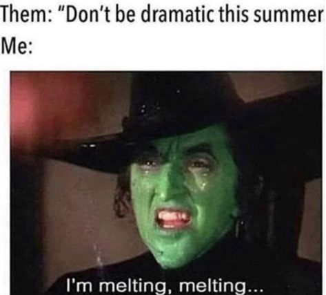 dont be dramatic this summer - me i'm melting - funny hot weather humor Melting Meme, Sweating Meme, Hot Weather Humor, Weather Memes, Hate Summer, Weather Quotes, Wicked Witch Of The West, Summer Funny, Summer Humor