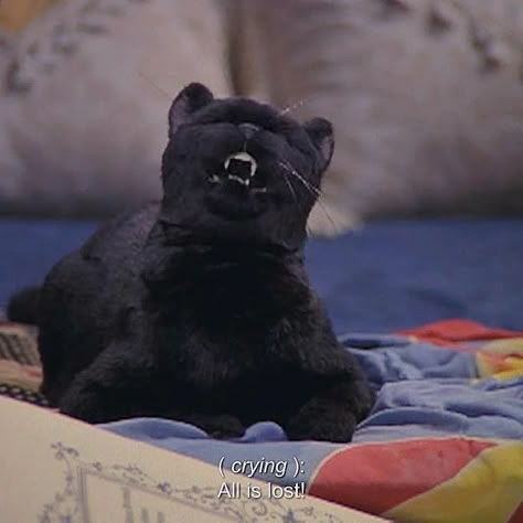 Sabrina Cat, Salem Saberhagen, Salem Cat, Gatos Cool, Fall Humor, Cat Character, Funny Reaction Pictures, Animals Friends, Cat Pics