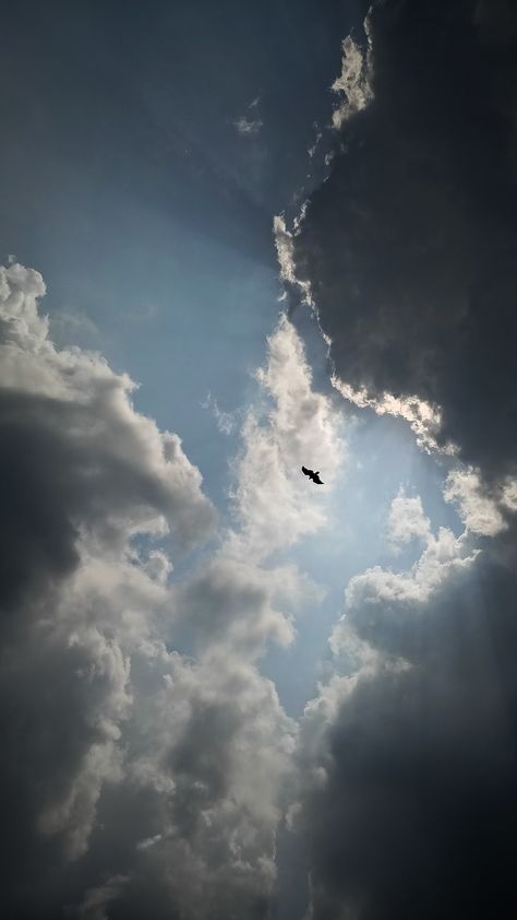 Flying Eagle Wallpaper, Flying Eagle Photography, Aesthetic Eagle, Eagle Aesthetic, Cool Iphone Wallpaper, Eagle Background, Home Screen Wallpaper Hd, Cloud Photography, Vector Portrait Illustration