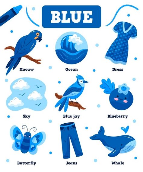 Colors and vocabulary set in english Fre... | Free Vector #Freepik #freevector #education #blue #color #learning Things That Are Blue Preschool, Learning Colors For Kids, Preschool Charts, Color Learning, Kids Handwriting Practice, Rainbow Mobile, Art Activities For Toddlers, Blue Things, Preschool Colors