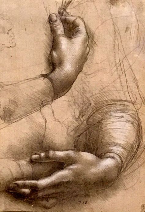 Leonardo Vinci, Da Vinci Vitruvian Man, V Model, Anatomy Sculpture, Graphite Art, The Mona Lisa, Graphic Work, 15 April, Master Drawing