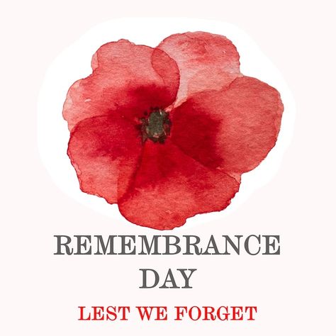 Remembrance Day, Pictures Of Poppy Flowers, Beautiful Picture, Canada Images, Poppy Flower, Poppy Flowers, Anzac Day, Photo Beautiful, Lest We Forget