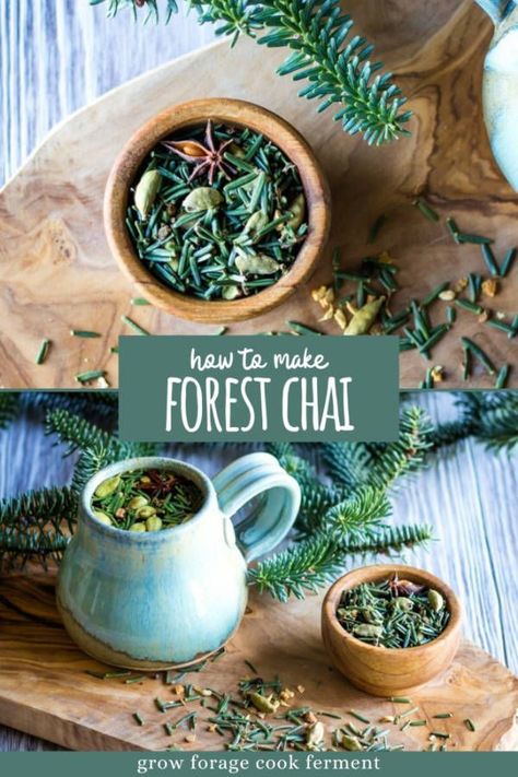 Aug 28, 2020 - This foraged tea blend uses fir needles and chai spices to create a delicious and festive drink that is also good for respiratory wellness. Fir Needles, Books And Tea, Chai Spices, Foraging Recipes, Herbal Teas Recipes, Herbal Apothecary, Herbal Recipes, Lip Scrubs, Milk Shakes