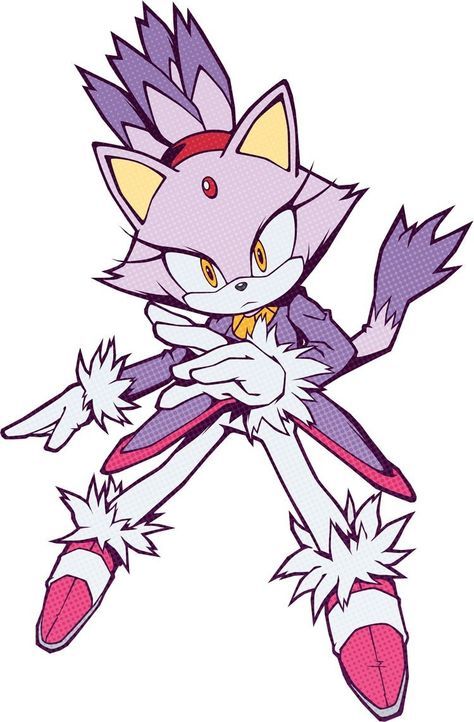 Sonic Channel, Blaze The Cat, Princesas Disney Anime, Shadow Sonic, Silver The Hedgehog, Sonic Fan Characters, Blue Hedgehog, Sonic Franchise, Hedgehog Art