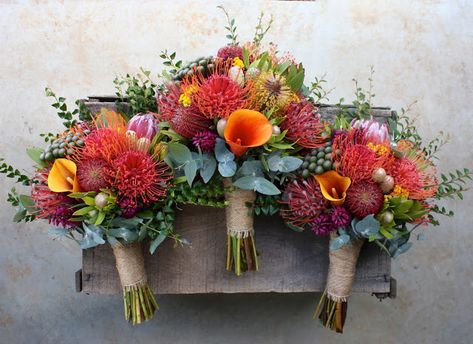 Swallows Nest Farm   Banksia, Leucospermum, Protea, Calla LIly, Austrlaian Native Wedding Bouquet Fynbos Wedding Bouquet, Australian Natives Bouquet, Fynbos Wedding Flowers, Australian Native Bouquet Wedding, Native Wedding Bouquet, Australian Native Wedding Flowers, Leucospermum Bouquet, Farm Wedding Australian, Native Australian Bouquet