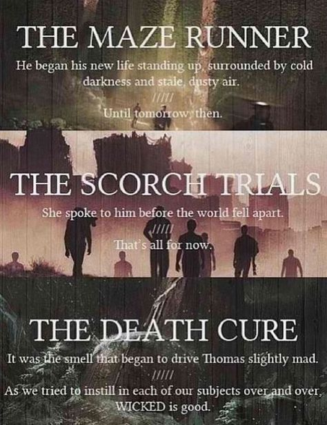 First and last words | The Maze Runner Series//I just finished Scorch Trials, and atm I hate Teresa, and I'm a burrito of sadness, help. Maze Runner Quotes, Runner Quotes, The Maze Runner, Maze Runner The Scorch, Maze Runner Trilogy, Maze Runner Cast, Maze Runner Funny, The Scorch, Maze Runner Movie