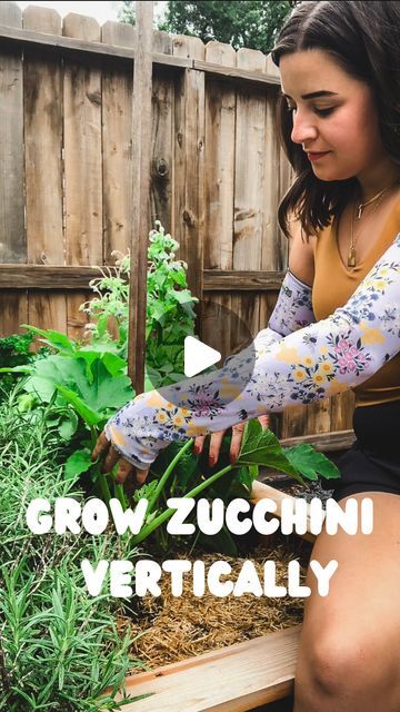 Sara Tracy, Gardener | On A Garden Kick on Instagram: "A real space saver in the garden! 🙌   Wearing my sleeves from @farmersdefense helped keep my arms protected while setting up this zucchini plant to grow vertically. 🤗   Zucchini plants can make your arms itchy and their spikes can scratch so before doing this I’d definitely recommend grabbing a pair of these sleeves. 🫶🏼  There are lots of benefits to growing zucchini vertically—it saves space, creates better airflow, makes pest checks easier, and allows for easier harvesting. I also think it looks really cool. 😆  You don’t need a lot to do this—I’m using a wooden tomato stake and stretchy garden ties to secure the plant to the stake. Remove anything from the main stem below the first flower and secure the plant then you’re good to Zucchini Plants Vertical, Growing Zucchini In Raised Beds, Staking Zucchini Plants, Vertical Zucchini Garden, Zucchini Plants Gardening, Vertical Zucchini, Growing Zucchini Vertically, Zucchini Growing, Zucchini Plant