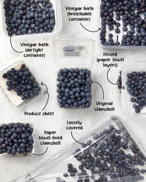 Storing Blueberries, How To Store Blueberries, Cooking Stuff, How To Cook Lobster, Waffle Cookies, Fruit Storage, Food Saver, Food History, Cooking Light