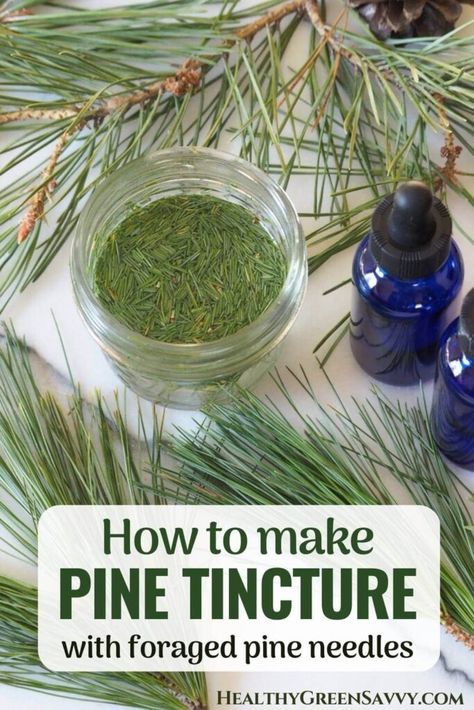 Pine Needle Tincture, Herb Knowledge, Medicinal Trees, Herbal Vinegar, Herb Tinctures, Pine Needle Tea, Tinctures Recipes, Herbal Medicine Recipes, Herbal Remedies Recipes