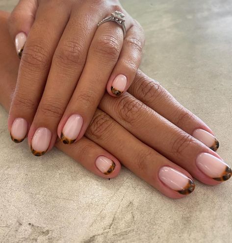 Gel Nails Simple Design, Leopard Tip Nails, Tortoise Shell French Tip, Tips Nails Design, Summa Nails, French Nail Ideas, House Of Orange, French Nail Tips, Shellac Nail Colors