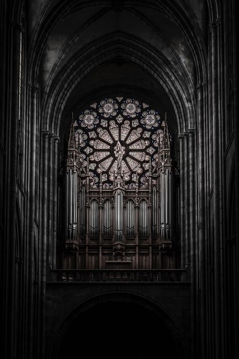 Church Aesthetic, Gothic Windows, Gothic Cathedrals, Ancient Greek Architecture, Gothic Cathedral, Stone Architecture, Gothic Aesthetic, Church Architecture, Gothic Architecture