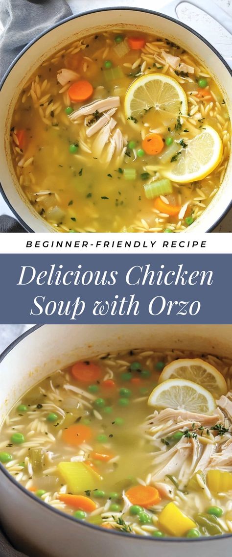 Image for Delicious Chicken Soup with Orzo Turkey And Orzo Soup, Creamy Chicken And Orzo Soup, Orzo Chicken Soup Recipes, Chicken Orzo Recipes Soup, Chicken Noodle Soup With Orzo, Chicken Potato Soup Crockpot, Chicken Orzo Soup Recipes, Orzo Chicken Soup, Chicken Soup With Orzo