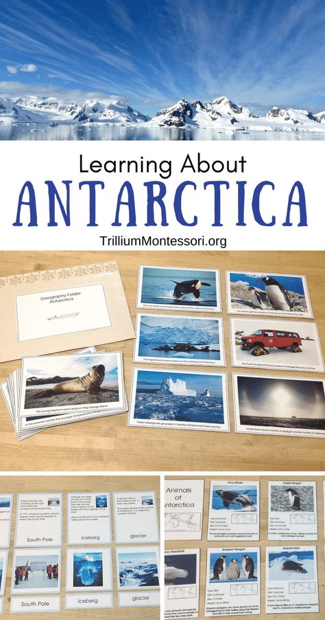 Learning About Antarctica: An Overview - Trillium Montessori Antartica Activities For Preschool, Antarctica Lessons For Kids, Antarctica Preschool Activities, Antarctica Unit Study, Antarctica Projects For Kids, Antartica Activities For Kids, Antarctica Activities For Kids, Antarctica Activities, Montessori Culture