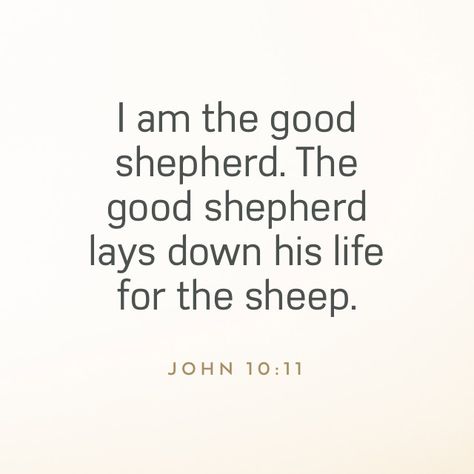 John 10 11, I Am The Good Shepherd, John 10, Revelation 22, Good Shepherd, The Good Shepherd, The Son Of Man, The Sheep, King Of Kings