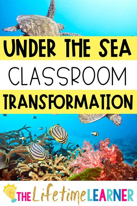 Ocean Day Classroom Transformation, Ecosystem Classroom Transformation, Wit And Wisdom 3rd Grade The Sea, Kindergarten Under The Sea Theme, Ocean Transformation Classroom, Under The Sea Kindergarten Classroom, Under The Sea Classroom Transformation, First Grade Theme Days, Beach Day Elementary School