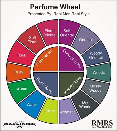 Perfume Wheel, Perfume Science, Fragrance Wheel, Perfume Business, Perfume Stand, Essential Oil Perfumes Recipes, Homemade Perfume, Real Men Real Style, Perfume Notes