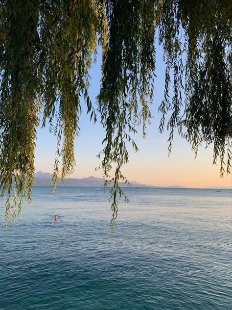 Peace And Happiness Aesthetic, Summer In Switzerland, Calm Photos, Switzerland Lausanne, June Aesthetic, Vsco Pics, Switzerland Nature, Switzerland Summer, Art Amour