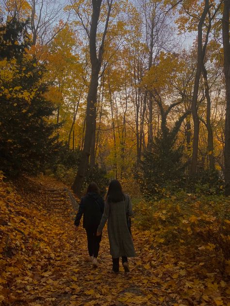 Forest In Autumn Aesthetic, Fall Forest Aesthetic, Autumn Forest Aesthetic, Autumn Photography Ideas, Forest Outfits, Poland Aesthetics, Europe Core, Poland Aesthetic, Autumnal Forest