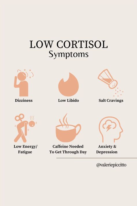 Low cortisol symptoms Check more at https://sharethelinks.com/low-cortisol-symptoms/ Low Cortisol Symptoms, Low Cortisol Levels, Low Cortisol, Cortisol Reduction, Adrenal Cortex, Cholesterol Symptoms, Low Estrogen Symptoms, High Cortisol, Too Much Estrogen