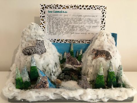 Asian Animals habitat project, to represent a model and facts about any chosen animal living in an Asian country. This model has been made from things you would find in your home, empty box, newspaper, polystyrene, paint, glitter and small stones from the garden. The snow leopards have been printed and placed on various formations of card to make them stand. Snow Leopard Diorama, Snow Leopard Habitat, Shoe Box Diorama, Animals Habitat, Habitat Project, Asian Animals, Biomes Project, Diorama Kids, Habitats Projects