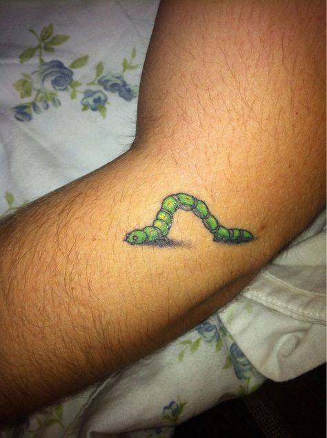 Inchworm - Richie | Lark Tattoo | Albany, NY - Imgur Slimey Worm Tattoo, Matching Worms Tattoos, Inchworm Tattoo, Inch Worm Tattoo, Worm Tattoo, Lark Tattoo, Sleeves Ideas, Traditional Tattoo Art, Custom Tattoo