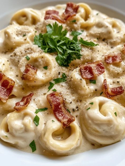 Tortellini Alfredo Recipes, Alfredo Tortellini Recipes, Bacon Tortellini Alfredo, Bacon Tortellini, Bacon Alfredo Pasta, Alfredo With Bacon, Bacon Alfredo, Tortellini Alfredo, Creamy Alfredo Sauce