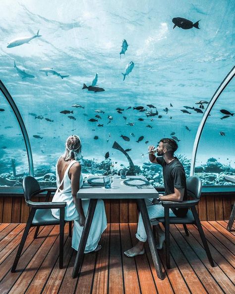 Maldives Honeymoon Package, جزر المالديف, Underwater Hotel, Underwater Restaurant, Best Travel Insurance, Maldives Honeymoon, Visit Maldives, Maldives Travel, Honeymoon Packages