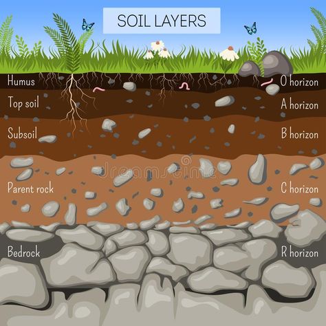 Soil layers diagram with grass, earth texture, stones, plant roots, underground , #sponsored, #stones, #texture, #roots, #plant, #earth #ad Living Soil Poster, Soil Profile Diagram, Soil Layers Illustration, Layers Of Soil Model, Soil Diagram, Soil Ecosystem, Earth And Environmental Science, Roots Underground, Soil Art