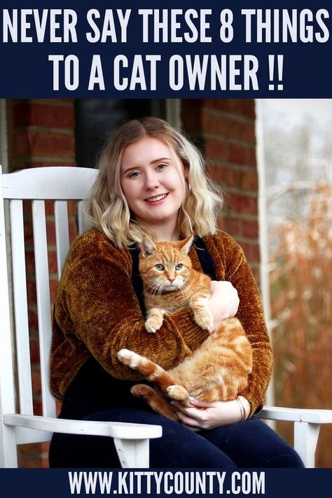 Cat Owners Around The World Will Agree That You Must Never Say These 8 things To A Cat Owner. #crazycatlady #crazycats #prettycats #ilovecats #funnycute Cat Owner Tips, Cat Owner Humor, Cat And Owner, Cat Fun, Cat Humor, Pumpkin Dog Treats, Wild Animals Pictures, Cat Hacks, Cat Care Tips