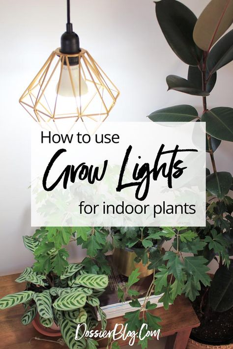 Grow Plants Indoors, Indoor Plant Lights, Indoor Grow Lights, Best Grow Lights, Best Led Grow Lights, Indoor Plant Wall, Grow Light Bulbs, Indoor Greenhouse, Grow Lamps