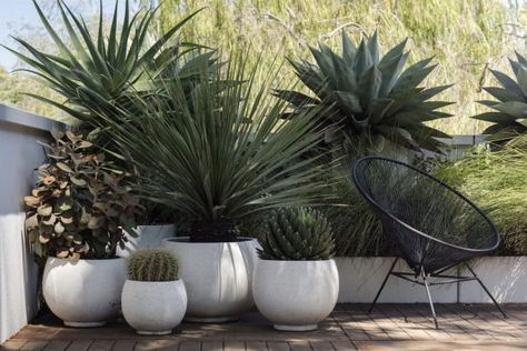 17 Little More Different Planters To Adorn Your Living Space Moderne Have, Apartment Balcony Garden, Modern Garden Design, Diy Gardening, The Secret Garden, Apartment Garden, Small Garden Design, Small Gardens, Balcony Garden