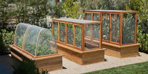 Garden Enclosures, Vege Garden, Building Raised Beds, Building Raised Garden Beds, Victory Garden, Handmade Planter, Garden Stand, Veg Garden, Backyard Inspo