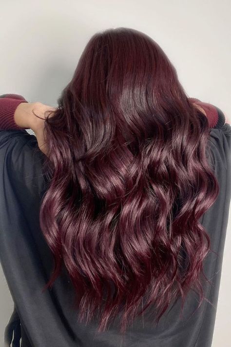 El rojo violeta es todo menos un color de pelo clásico, lo que significa que te ayudará a tener un aspecto único a la vez que te da un toque de elegancia. // Crédito de la foto: instagram @roxanne_rihan Pelo Color Vino, Dark Pink Hair, Maroon Hair, Dyed Curly Hair, French Bob, Cute Hair Colors, Dream Summer, Curly Haircuts, Brown Highlights