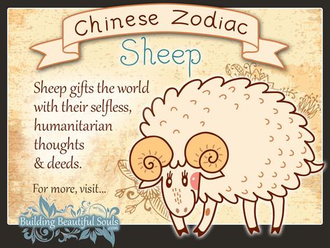 Year of the Sheep in Chinese Zodiac for Kids 1280x960 Chinese Zodiac Sheep, Chinese Signs, Astrology Compatibility Chart, Astrology Signs Dates, Year Of The Sheep, Year Of The Goat, Birthday Personality, Zodiac Characteristics, Zodiac Personality Traits