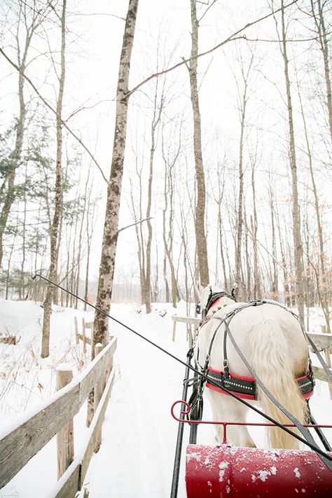 Stowe Vermont Winter, Vermont Winter, Stowe Vt, Stowe Vermont, Im Falling In Love, Sleigh Ride, Amazing Ideas, Winter Travel, Winter Scenes